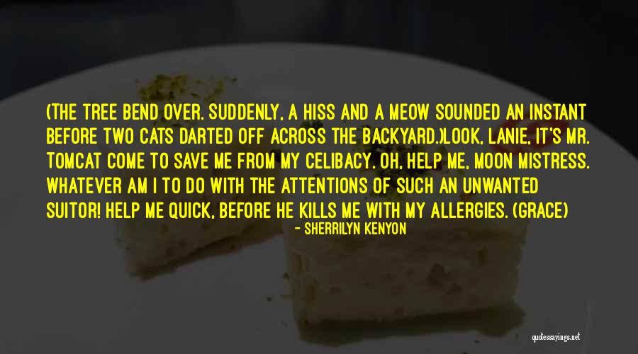 Ex Suitor Quotes By Sherrilyn Kenyon Ex Suitor Quotes By Sherrilyn Kenyon