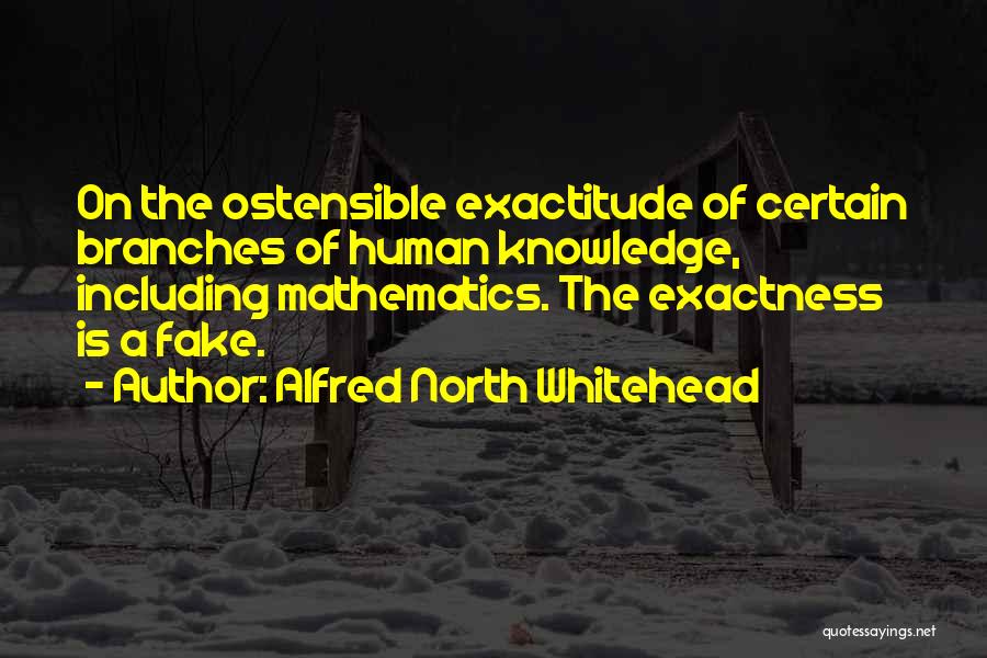 Exactitude Quotes By Alfred North Whitehead