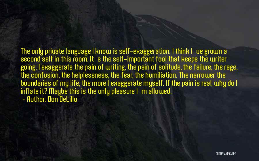Exaggeration Quotes By Don DeLillo