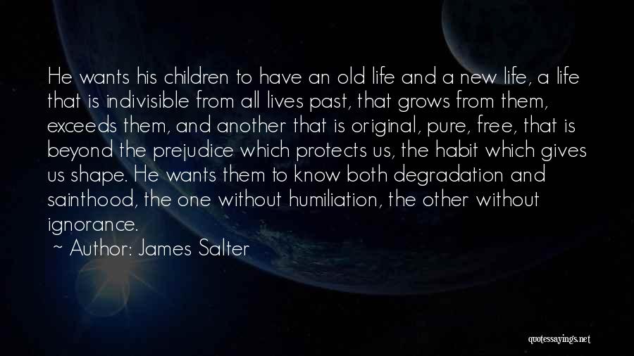 Exalted Developer Quotes By James Salter