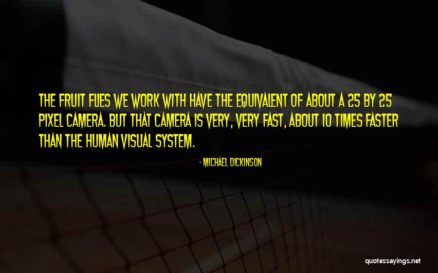 Exam Day Quotes By Michael Dickinson