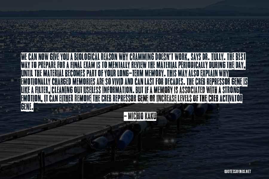 Exam Day Quotes By Michio Kaku