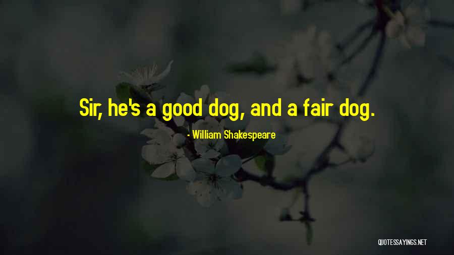 Examinate Cancer Quotes By William Shakespeare Examinate Cancer Quotes By William Shakespeare