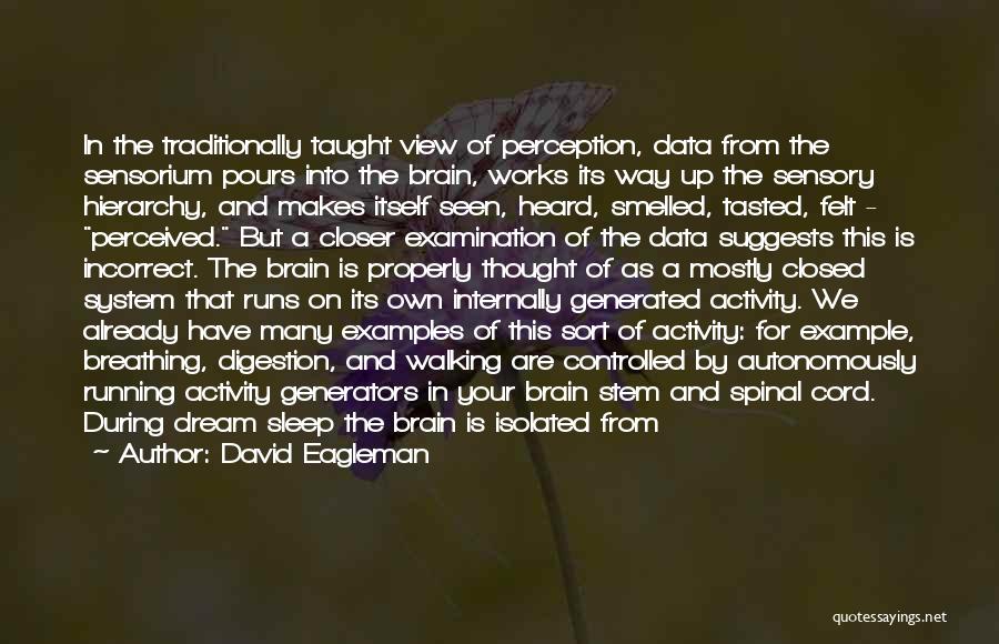 Examination System Quotes By David Eagleman