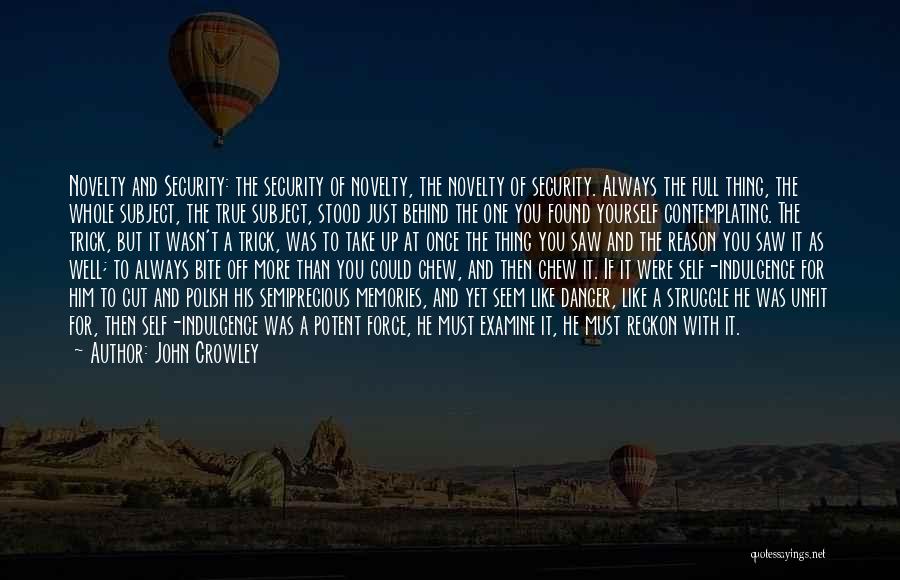 Examine Yourself Quotes By John Crowley