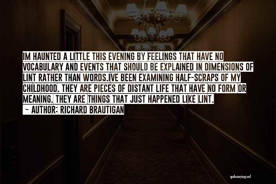 Examining Life Quotes By Richard Brautigan