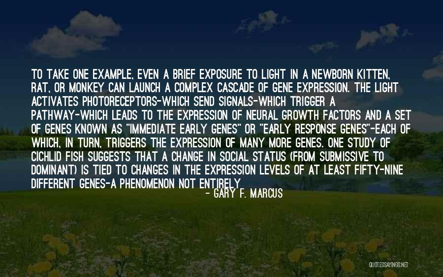 Example And Light Quotes By Gary F. Marcus Example And Light Quotes By Gary F. Marcus