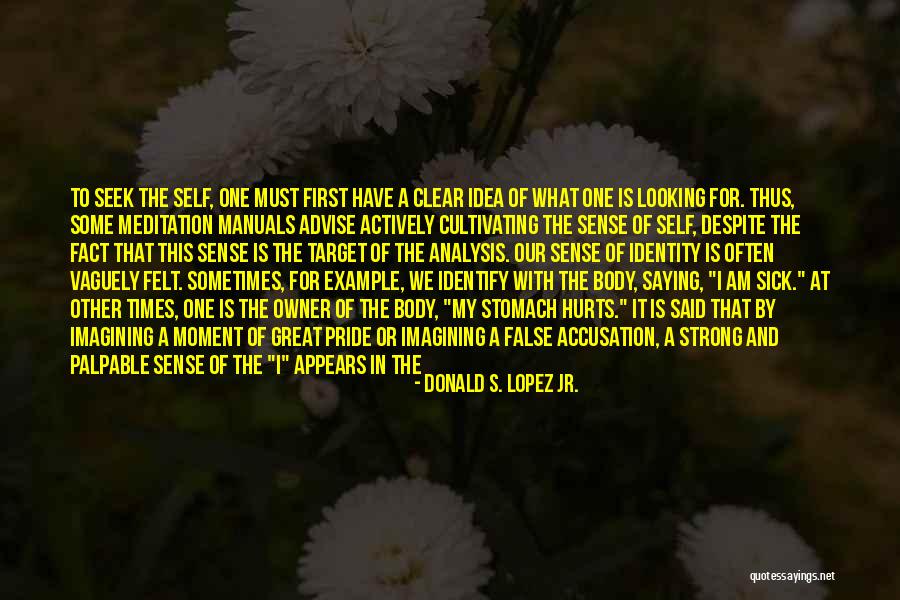 Example And Reasoning Quotes By Donald S. Lopez Jr.