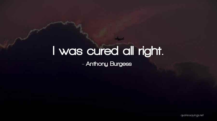 Example Essays Starting With Quotes By Anthony Burgess Example Essays Starting With Quotes By Anthony Burgess