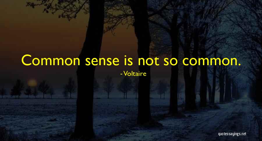 Example For Regular Quotes By Voltaire Example For Regular Quotes By Voltaire