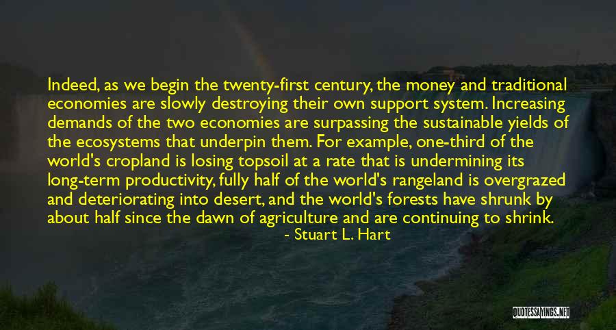 Example Of A Quotes By Stuart L. Hart Example Of A Quotes By Stuart L. Hart