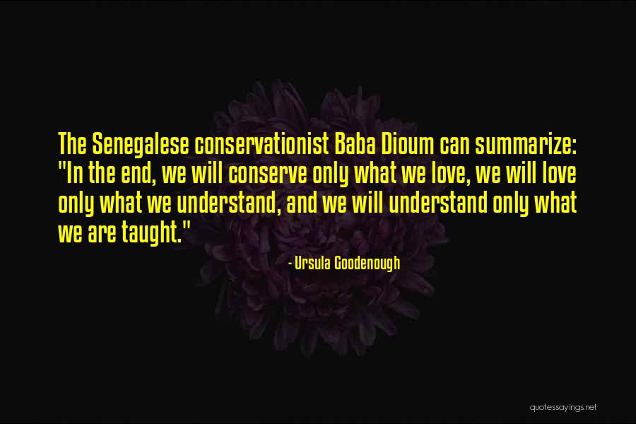 Example Of Hieroglyphics Quotes By Ursula Goodenough Example Of Hieroglyphics Quotes By Ursula Goodenough