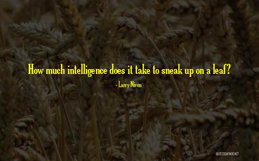 Example Of Mathematics Quotes By Larry Niven Example Of Mathematics Quotes By Larry Niven