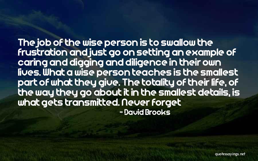 Example Of Wise Quotes By David Brooks Example Of Wise Quotes By David Brooks