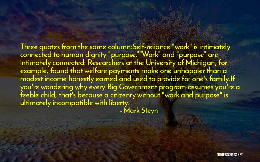 Example Quotes And Quotes By Mark Steyn
