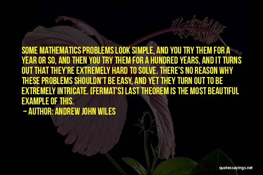 Example That Quotes By Andrew John Wiles