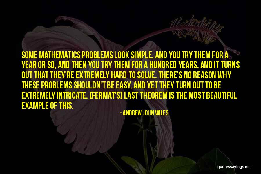 Example That Quotes By Andrew John Wiles