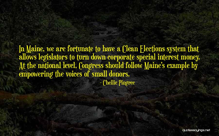 Example To Follow Quotes By Chellie Pingree