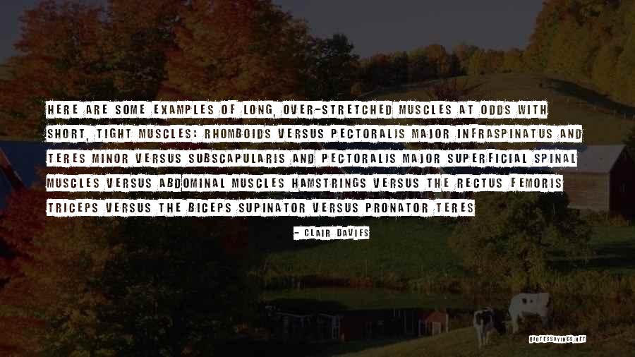 Examples Of Short Quotes By Clair Davies Examples Of Short Quotes By Clair Davies