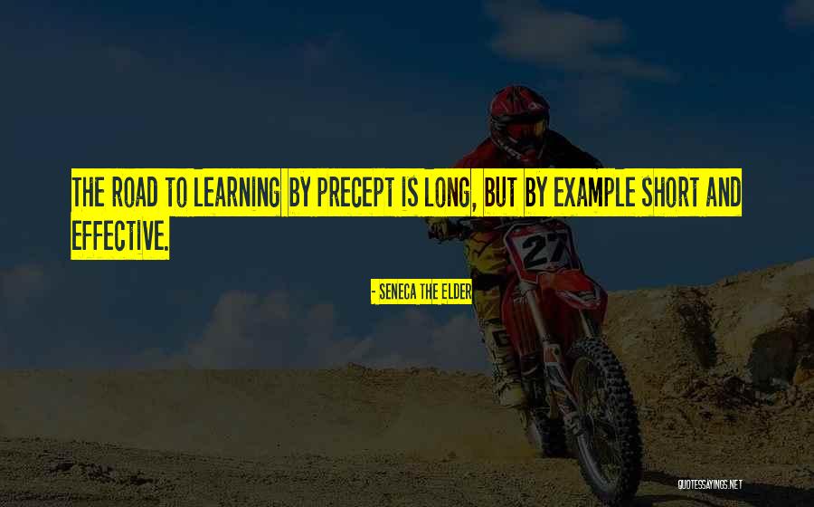 Examples Of Short Quotes By Seneca The Elder Examples Of Short Quotes By Seneca The Elder