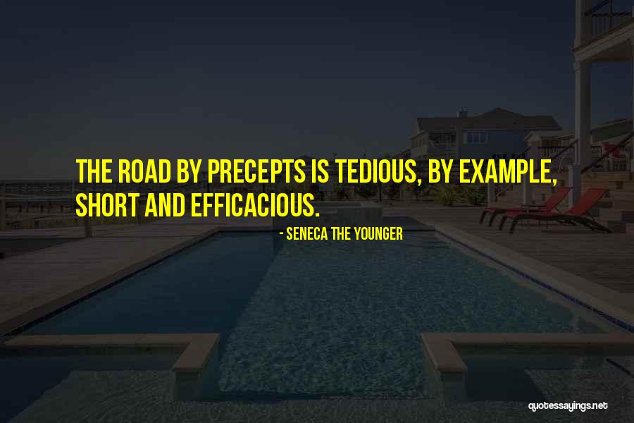 Examples Of Short Quotes By Seneca The Younger Examples Of Short Quotes By Seneca The Younger