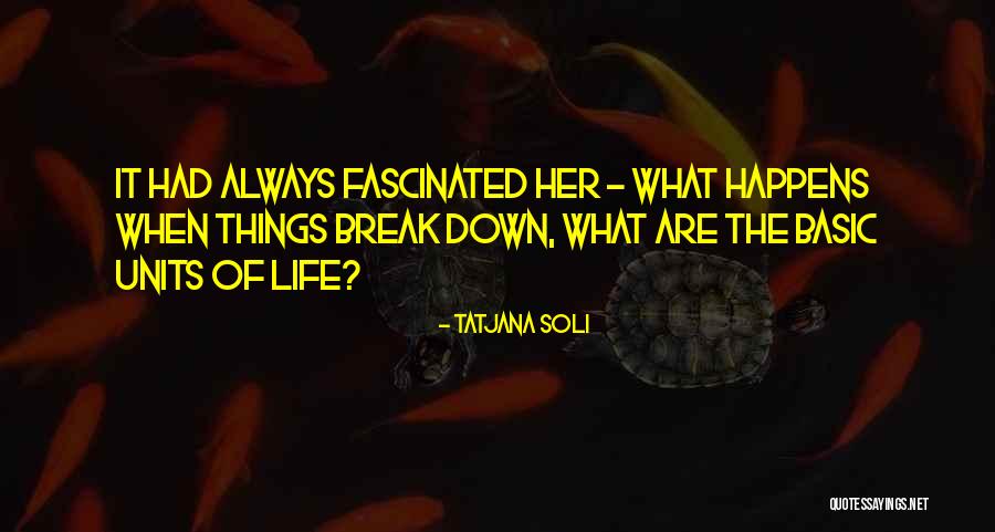 Examples Of Short Quotes By Tatjana Soli Examples Of Short Quotes By Tatjana Soli