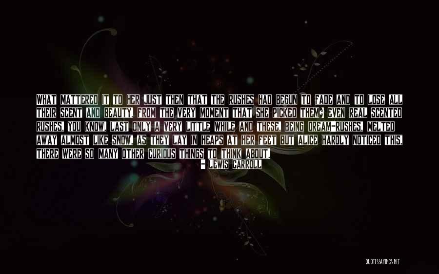 Examples Of Understatement Quotes By Lewis Carroll Examples Of Understatement Quotes By Lewis Carroll