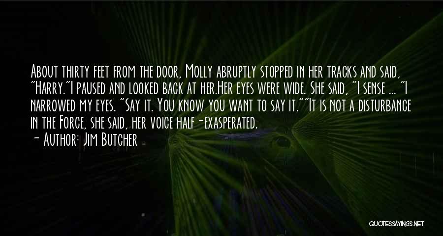 Exasperated Quotes By Jim Butcher