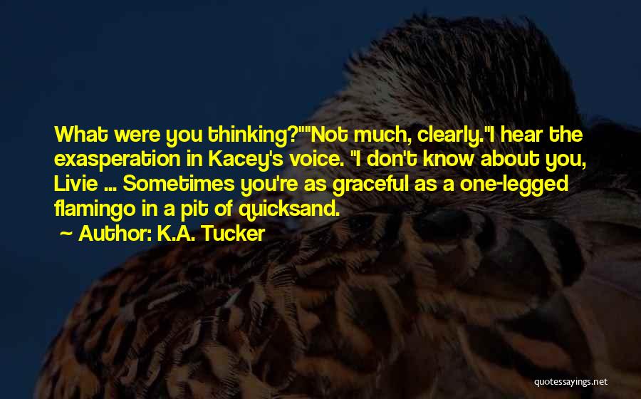 Exasperation Quotes By K.A. Tucker
