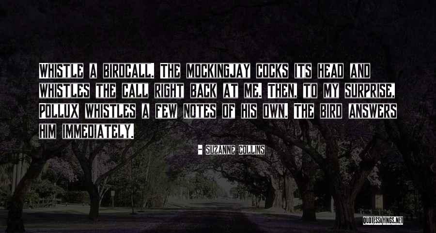 Exatas Cursinho Quotes By Suzanne Collins Exatas Cursinho Quotes By Suzanne Collins