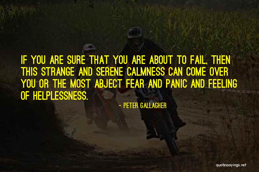 Excavated Material And Superimposed Quotes By Peter Gallagher Excavated Material And Superimposed Quotes By Peter Gallagher