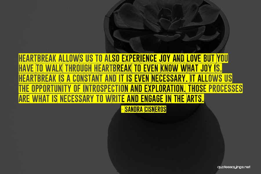 Excedente Definicion Quotes By Sandra Cisneros Excedente Definicion Quotes By Sandra Cisneros