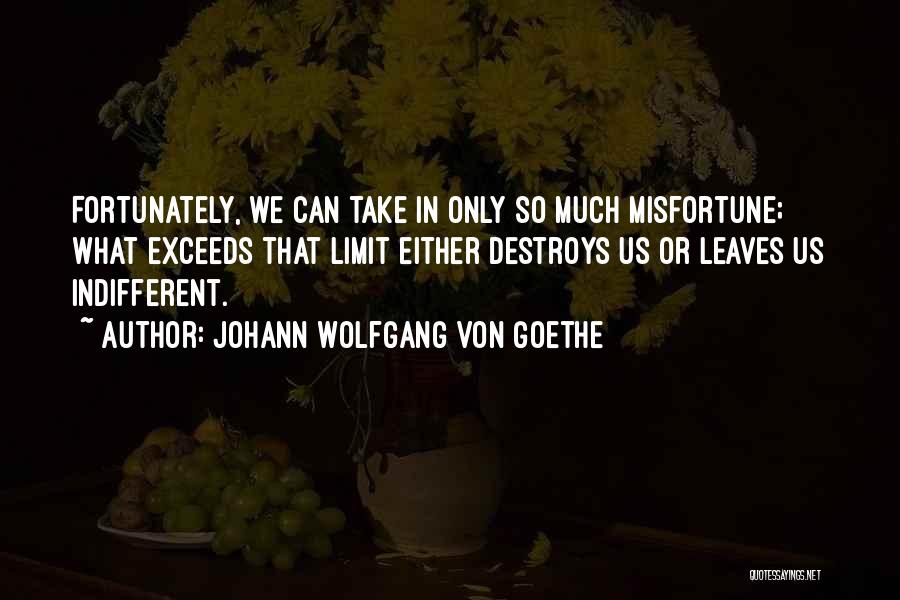 Exceed Limit Quotes By Johann Wolfgang Von Goethe