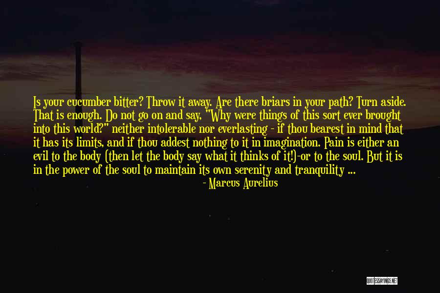 Excel 2010 Vba Formula Quotes By Marcus Aurelius Excel 2010 Vba Formula Quotes By Marcus Aurelius