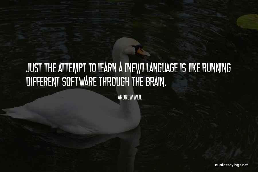 Excel Remove Single Quotes By Andrew Weil Excel Remove Single Quotes By Andrew Weil