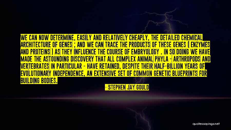 Excel Vba Msgbox Quotes By Stephen Jay Gould Excel Vba Msgbox Quotes By Stephen Jay Gould