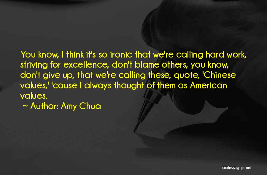 Excellence And Hard Work Quotes By Amy Chua