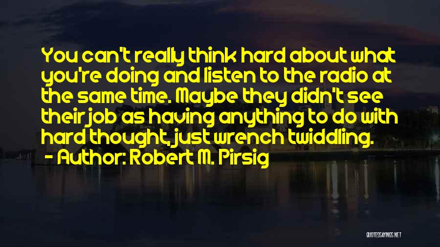 Excellence And Hard Work Quotes By Robert M. Pirsig