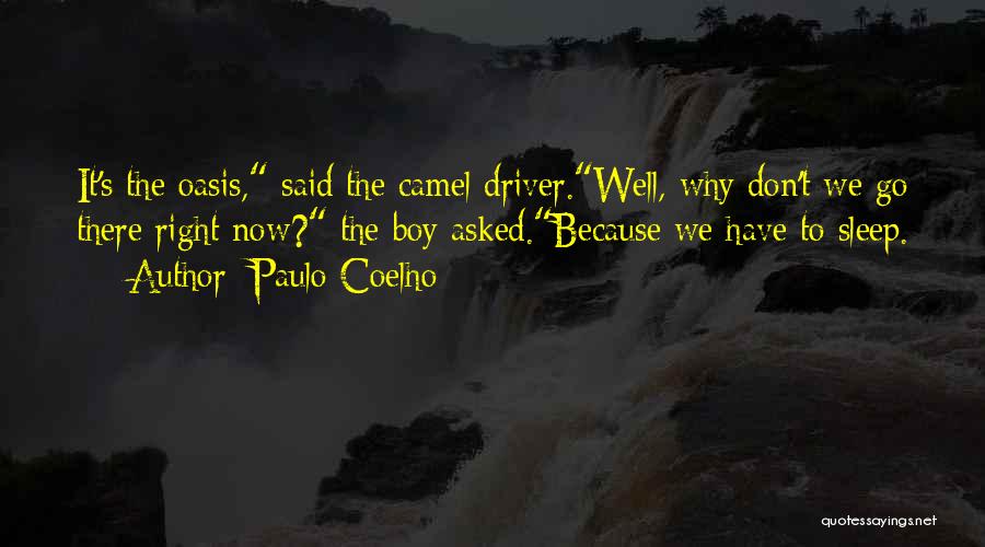 Excellence From Famous Philosophers Quotes By Paulo Coelho