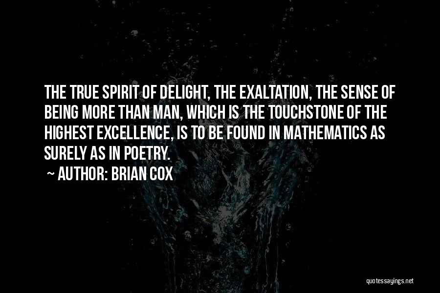 Excellence In Mathematics Quotes By Brian Cox