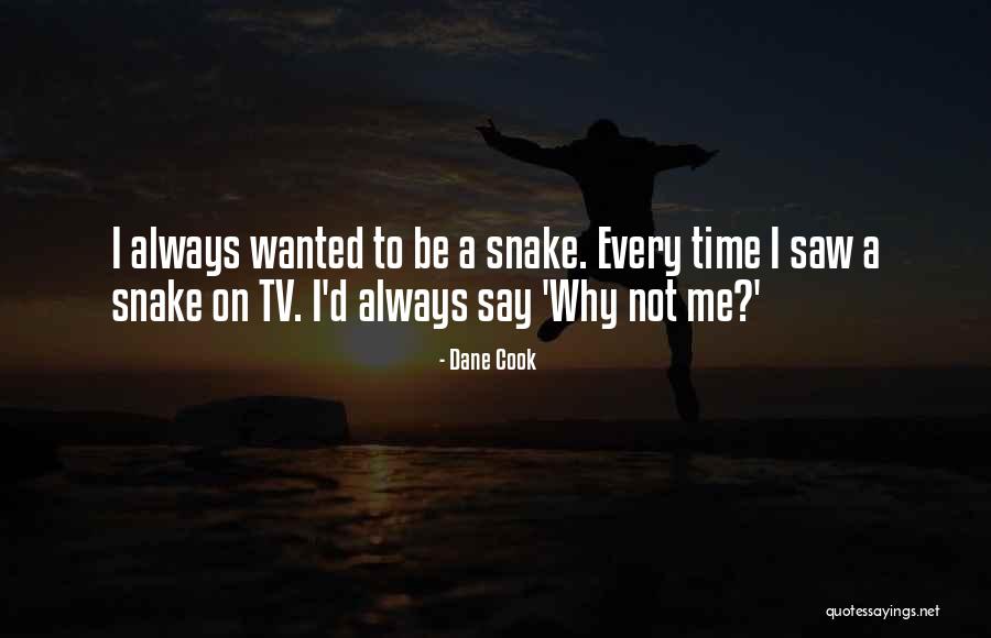 Exceptie De Neconstitutionalitate Quotes By Dane Cook Exceptie De Neconstitutionalitate Quotes By Dane Cook