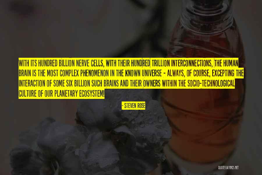 Excepting Quotes By Steven Rose Excepting Quotes By Steven Rose