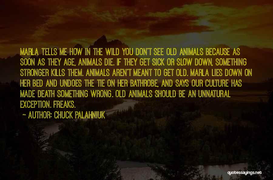 Exception Quotes By Chuck Palahniuk