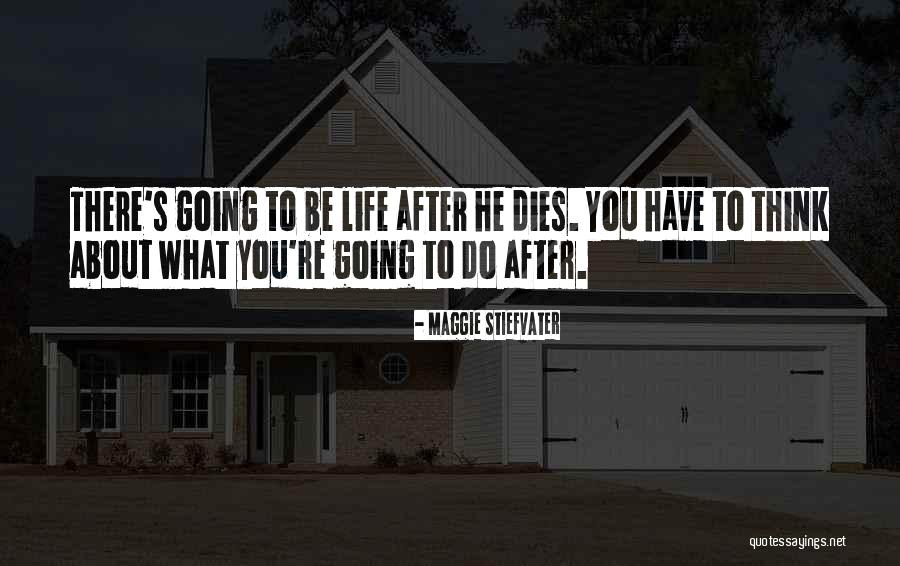 Excepts To Pull Quotes By Maggie Stiefvater Excepts To Pull Quotes By Maggie Stiefvater
