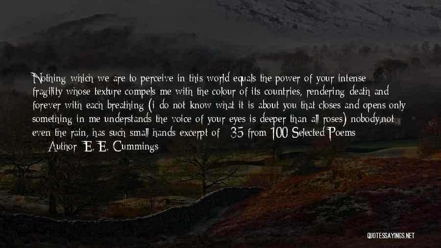 Excerpt Quotes By E. E. Cummings