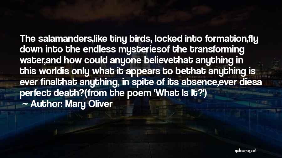 Excerpt Quotes By Mary Oliver