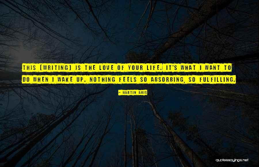 Excertos Sinonimo Quotes By Martin Amis Excertos Sinonimo Quotes By Martin Amis