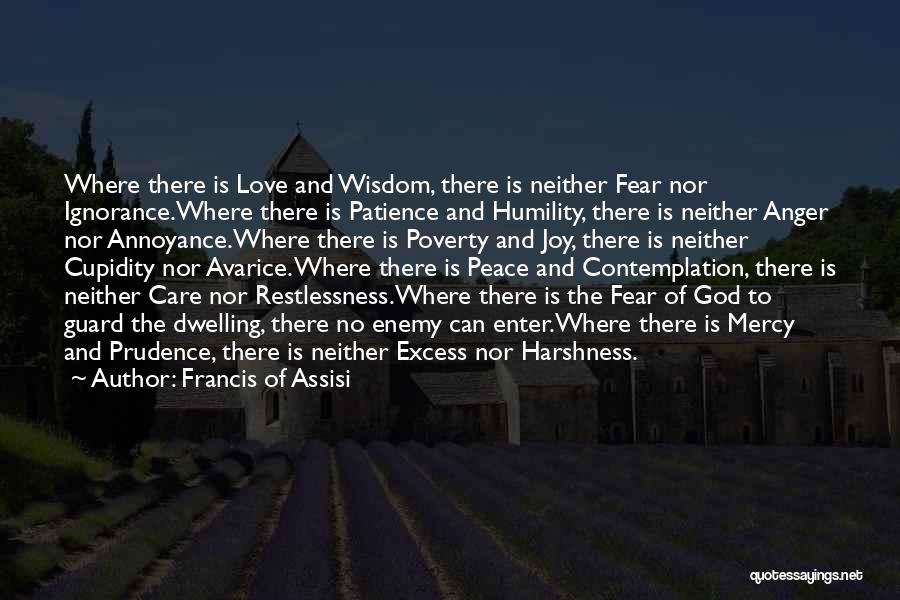 Excess Care Quotes By Francis Of Assisi