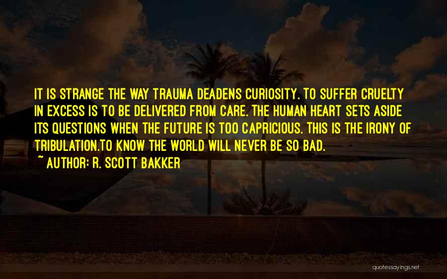 Excess Care Quotes By R. Scott Bakker