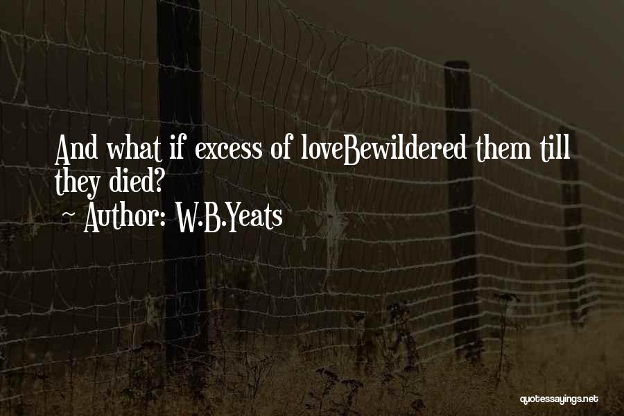 Excess Love Quotes By W.B.Yeats